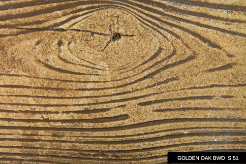 ../images/plaster/palette-ws/GOLDEN OAK BWD S 51.png